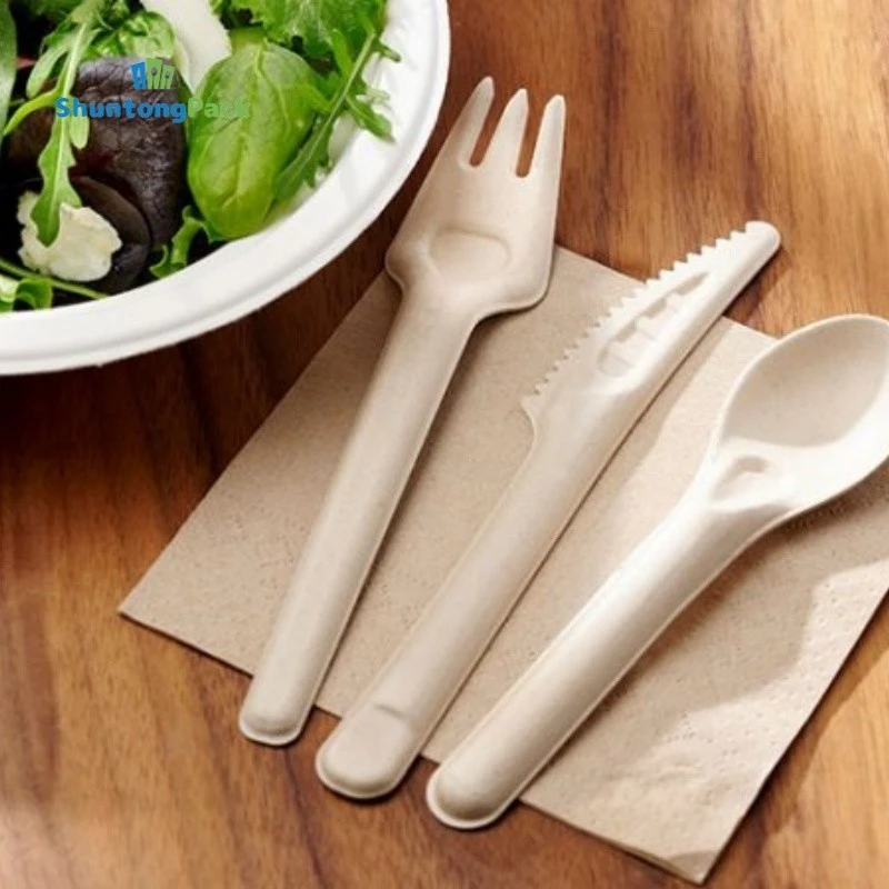 OEM Bagasse set fork spoon knife